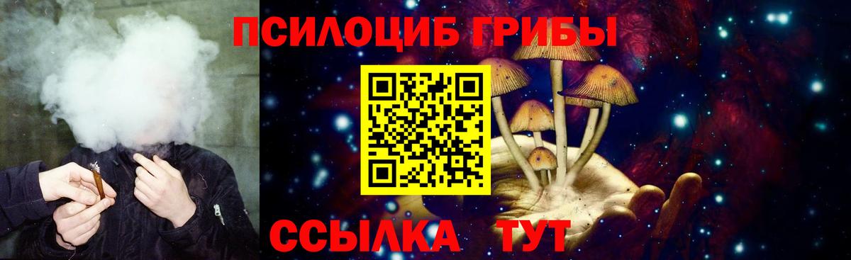 Псилоцибиновые грибы мицелий  Псилоцибиновые грибы мухоморы  Вход с VPN  Кувандык 