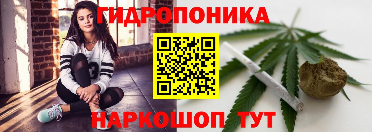 Канабис ГИДРОПОН  Вход с VPN  Бошки марихуана Ganja  Кувандык  Марихуана план  Бошки Шишки White Widow 